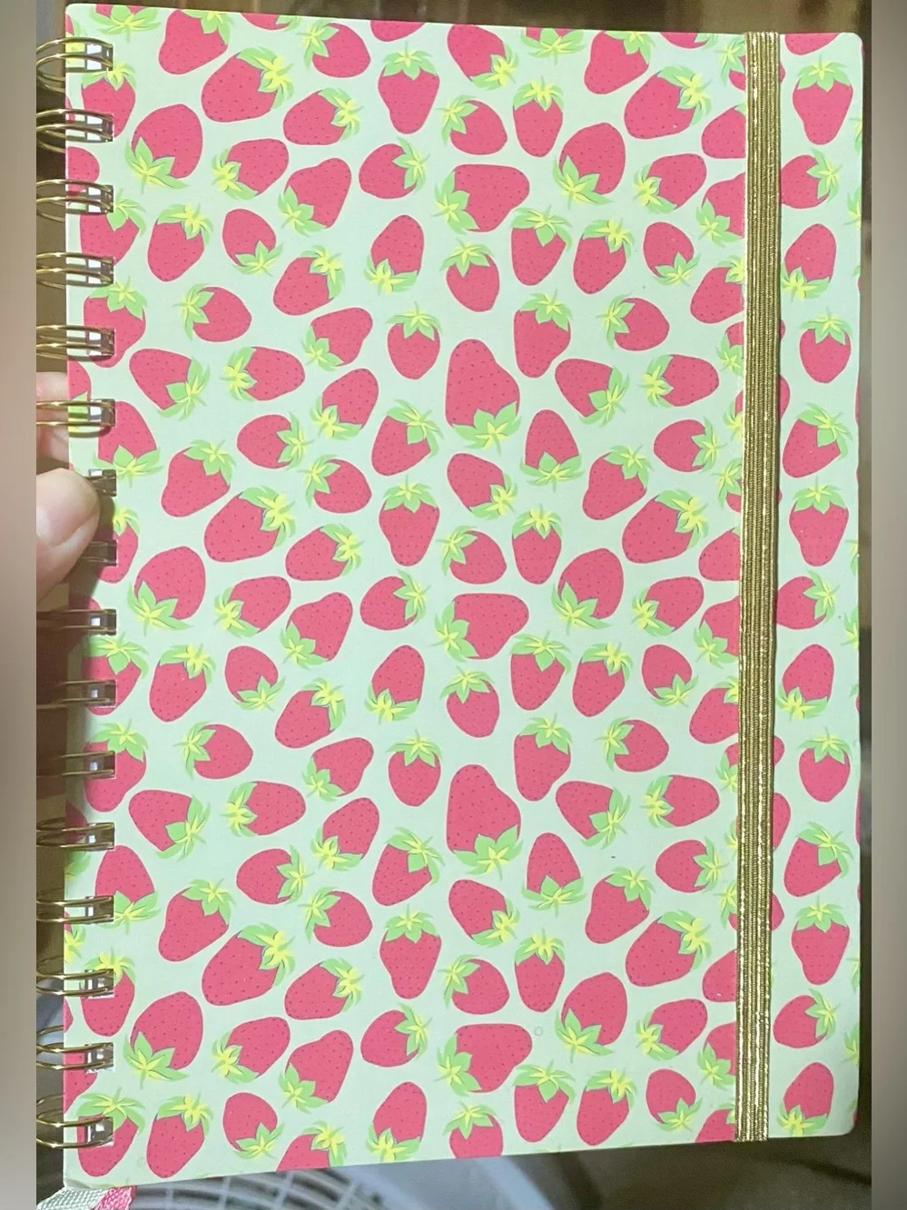 Strawberry Spiral Journal vibrant red strawberry pattern light green background
